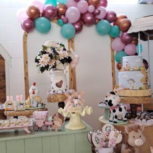 Festas de Aniversário em Campinas